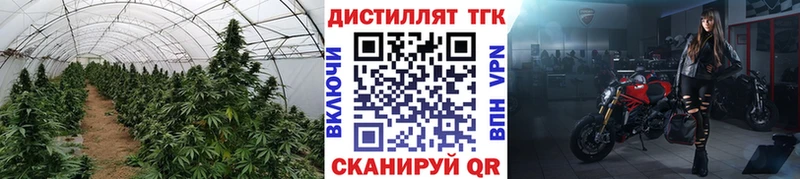MEGA ССЫЛКА  купить наркотик  Хвалынск  Дистиллят ТГК гашишное масло 